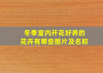 冬季室内开花好养的花卉有哪些图片及名称