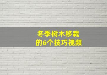 冬季树木移栽的6个技巧视频