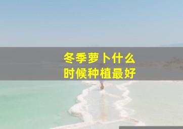 冬季萝卜什么时候种植最好