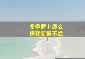 冬季萝卜怎么保存新鲜不烂