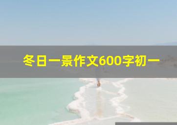 冬日一景作文600字初一