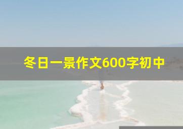 冬日一景作文600字初中