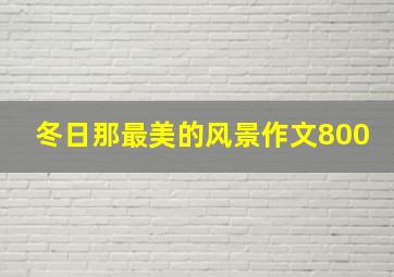 冬日那最美的风景作文800