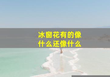 冰窗花有的像什么还像什么