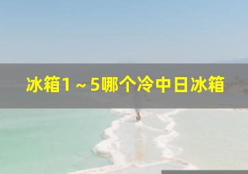 冰箱1～5哪个冷中日冰箱