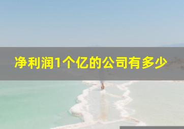 净利润1个亿的公司有多少