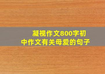 凝视作文800字初中作文有关母爱的句子