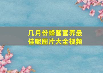 几月份蜂蜜营养最佳呢图片大全视频