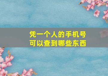 凭一个人的手机号可以查到哪些东西