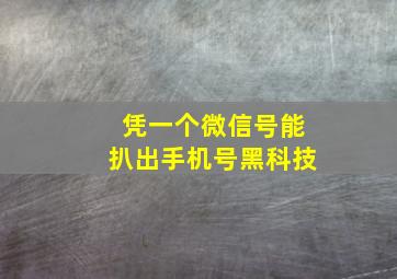 凭一个微信号能扒出手机号黑科技