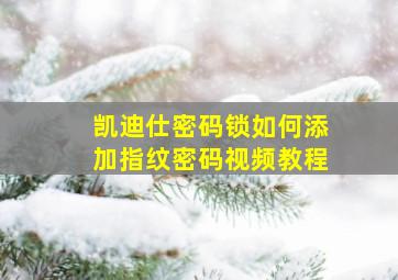 凯迪仕密码锁如何添加指纹密码视频教程