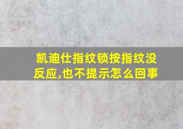 凯迪仕指纹锁按指纹没反应,也不提示怎么回事