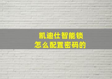 凯迪仕智能锁怎么配置密码的