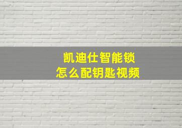 凯迪仕智能锁怎么配钥匙视频