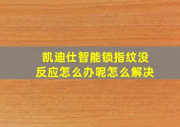 凯迪仕智能锁指纹没反应怎么办呢怎么解决