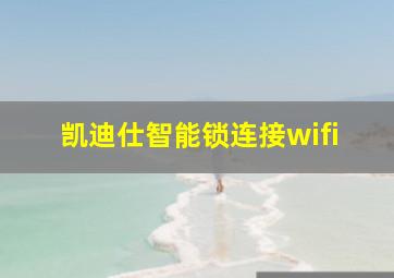 凯迪仕智能锁连接wifi