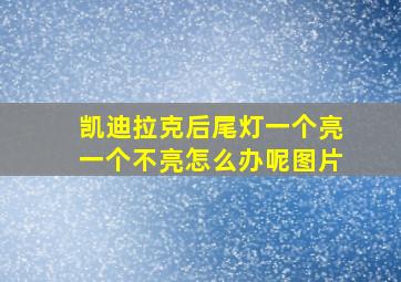 凯迪拉克后尾灯一个亮一个不亮怎么办呢图片