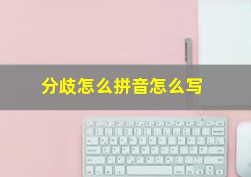 分歧怎么拼音怎么写