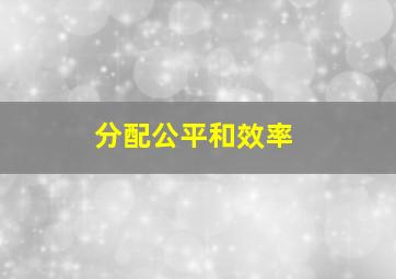 分配公平和效率