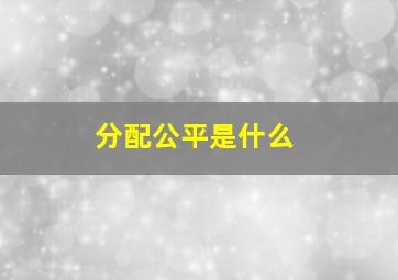 分配公平是什么