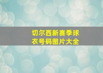 切尔西新赛季球衣号码图片大全