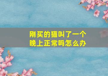 刚买的猫叫了一个晚上正常吗怎么办