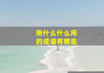 刚什么什么用的成语有哪些