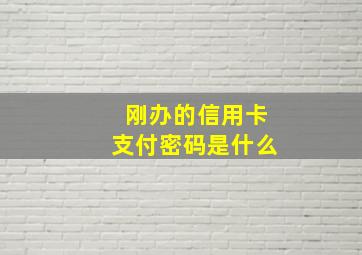 刚办的信用卡支付密码是什么