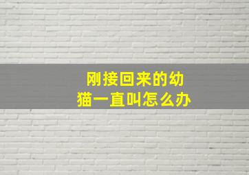 刚接回来的幼猫一直叫怎么办