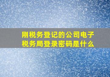 刚税务登记的公司电子税务局登录密码是什么