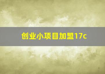 创业小项目加盟17c