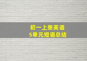 初一上册英语5单元短语总结