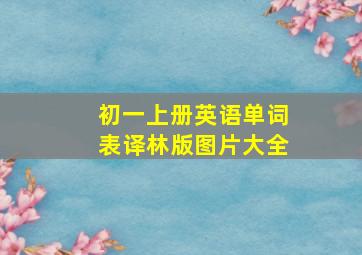 初一上册英语单词表译林版图片大全