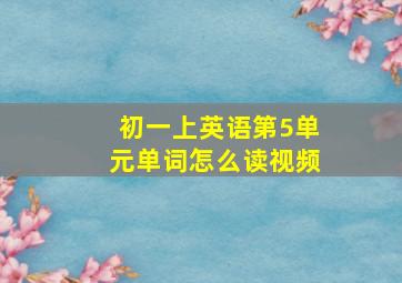 初一上英语第5单元单词怎么读视频