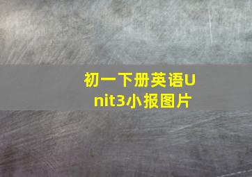 初一下册英语Unit3小报图片