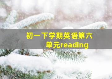 初一下学期英语第六单元reading