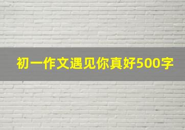 初一作文遇见你真好500字