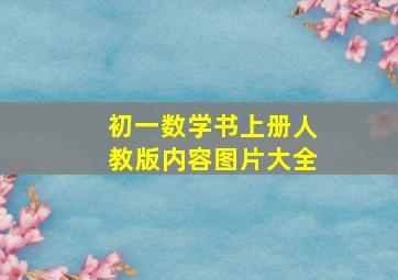 初一数学书上册人教版内容图片大全