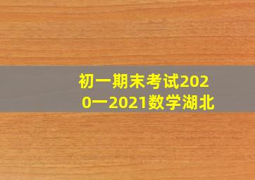 初一期末考试2020一2021数学湖北