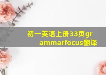 初一英语上册33页grammarfocus翻译