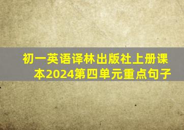 初一英语译林出版社上册课本2024第四单元重点句子