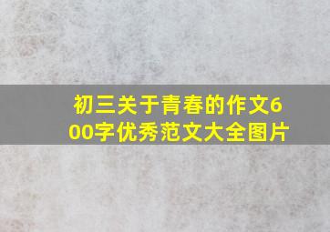 初三关于青春的作文600字优秀范文大全图片