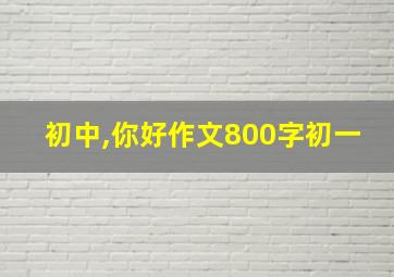 初中,你好作文800字初一