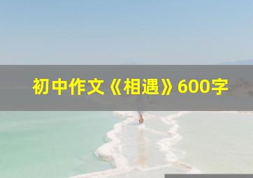 初中作文《相遇》600字