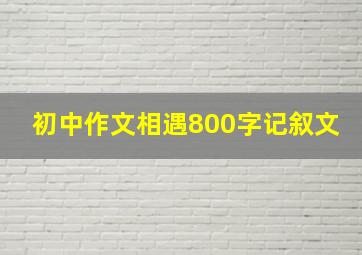 初中作文相遇800字记叙文