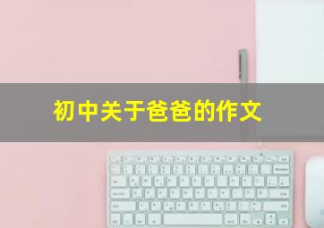 初中关于爸爸的作文