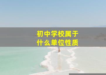 初中学校属于什么单位性质