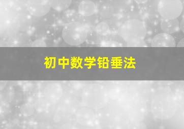 初中数学铅垂法