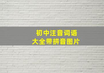 初中注音词语大全带拼音图片