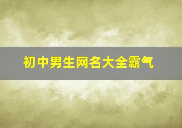 初中男生网名大全霸气